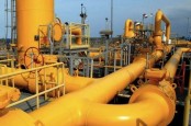 Tarif Gas US$6, Industri Kimia Belum Terima Dampak Maksimal